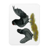 Magnet Flexible Bantams (Vertical)