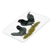 Magnet Flexible Bantams (Côté Gauche)