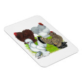 Magnet Flexible Bantams en plumes Legs (Côté Droit)
