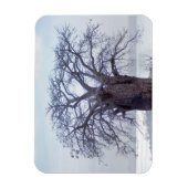 Magnet Flexible Baobab (Adansonia Digitata), Luanda (Vertical)