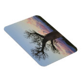 Magnet Flexible Baobab, Berenty, Toliara, Madagascar (Côté Droit)