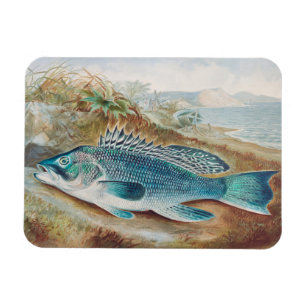 Magnet Flexible Bar commun par S.A. Kilbourne, Poisson vintage