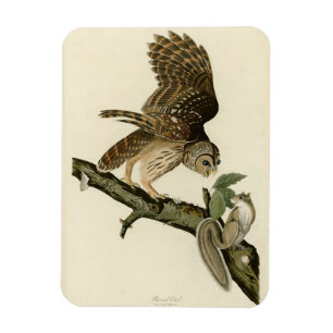 Magnet Flexible Barred Owl, John James Audubon's Birds of America