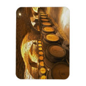 Magnet Flexible Barres de chêne dans la cave du Domaine Comte (Vertical)