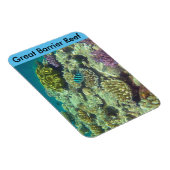 Magnet Flexible barrière de corail (Côté Droit)