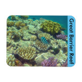 Magnet Flexible barrière de corail (Horizontal)