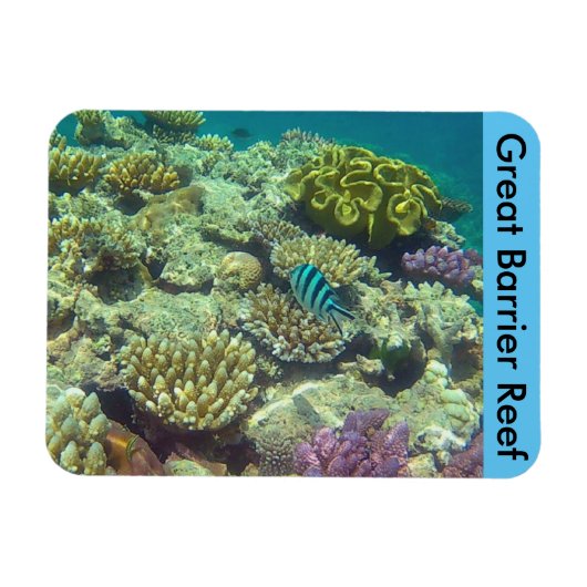 Magnet Flexible barrière de corail (Horizontal)