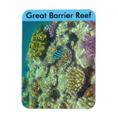 Magnet Flexible barrière de corail (Vertical)