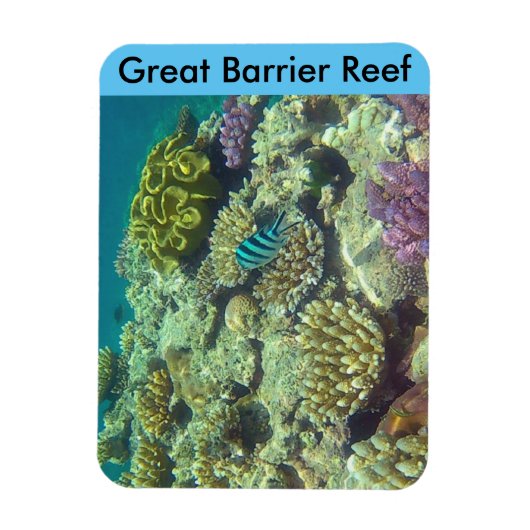 Magnet Flexible barrière de corail (Vertical)