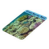 Magnet Flexible barrière de corail (Côté Gauche)