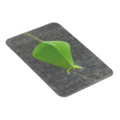 Magnet Flexible Barringtonia Acutangula (Côté Droit)