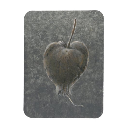 Magnet Flexible Barringtonia Acutangula 2 (Vertical)