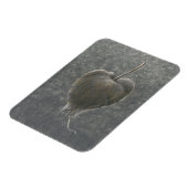 Magnet Flexible Barringtonia Acutangula 2 (Côté Gauche)