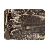 Magnet Flexible Base du géant du Grizzly, du livre 'Le Yosemite (Horizontal)