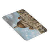 Magnet Flexible Basilique Saint-Pierre de la Cité du Vatican (Côté Droit)