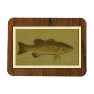 Magnet Flexible Basse noire sur un Arrière - plan vert