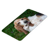 Magnet Flexible Basset âgé (Côté Gauche)