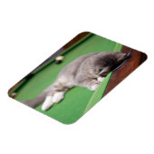 Magnet Flexible Bassin de jeu Kitten (Côté Gauche)