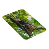 Magnet Flexible Bat (Côté Droit)