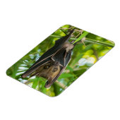 Magnet Flexible Bat (Côté Gauche)