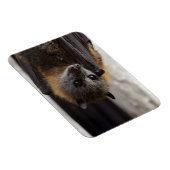 Magnet Flexible Bat australien (Côté Droit)