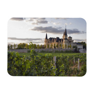 Magnet Flexible Bâtiment viticole vu du vignoble à