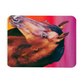 Magnet Flexible Bay Horse Dégradé (Horizontal)