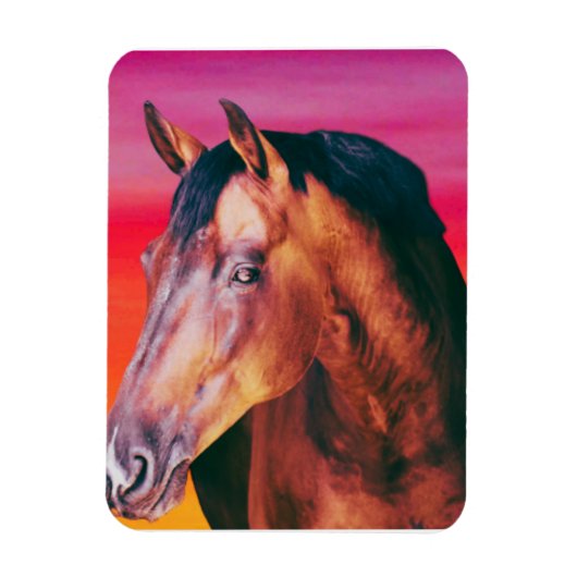 Magnet Flexible Bay Horse Dégradé (Vertical)