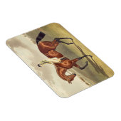 Magnet Flexible Bay Middleton, gagnant du Derby en 1836, après (Côté Droit)