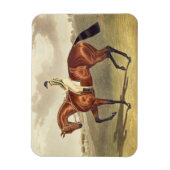 Magnet Flexible Bay Middleton, gagnant du Derby en 1836, après (Vertical)