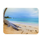 Magnet Flexible Beachscape (Horizontal)
