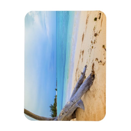 Magnet Flexible Beachscape (Vertical)