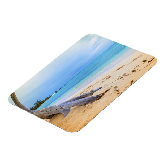 Magnet Flexible Beachscape (Côté Gauche)