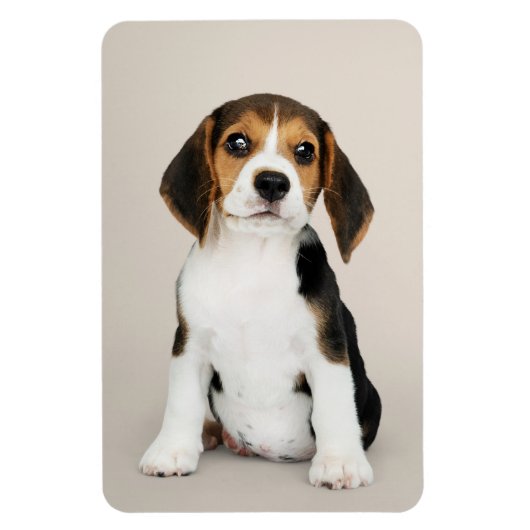 Magnet Flexible Beagle Chiot, Oh Tellement Mignonne (Vertical)