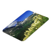 Magnet Flexible Beargrass au col Logan dans le parc national Glaci (Côté Gauche)