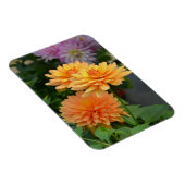 Magnet Flexible Beau aimant de fleur de dahlia orange (Côté Droit)