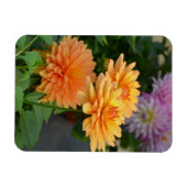 Magnet Flexible Beau aimant de fleur de dahlia orange (Horizontal)