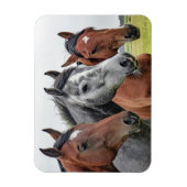 Magnet Flexible Beau Cheval (Vertical)