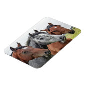 Magnet Flexible Beau Cheval (Côté Gauche)