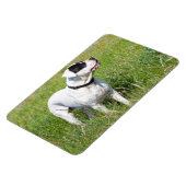 Magnet Flexible Beau Dogo Argentino (Côté Gauche)