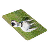 Magnet Flexible Beau Dogo Argentino (Côté Droit)