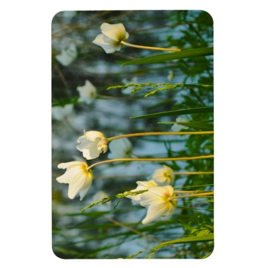 MAGNET FLEXIBLE BEAU FLORAL (Vertical)