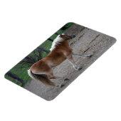 Magnet Flexible Beau Haflinger (Côté Gauche)