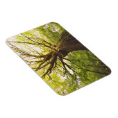 Magnet Flexible Beau Hêtre (Côté Droit)