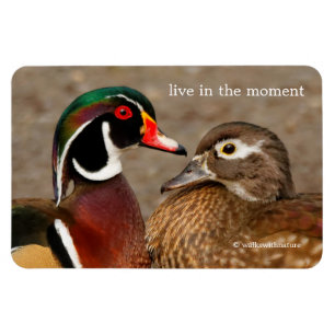 Magnet Flexible Beau moment de contact entre des canards en bois