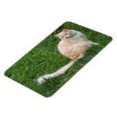 Magnet Flexible Beauté rouge clair (Côté Gauche)