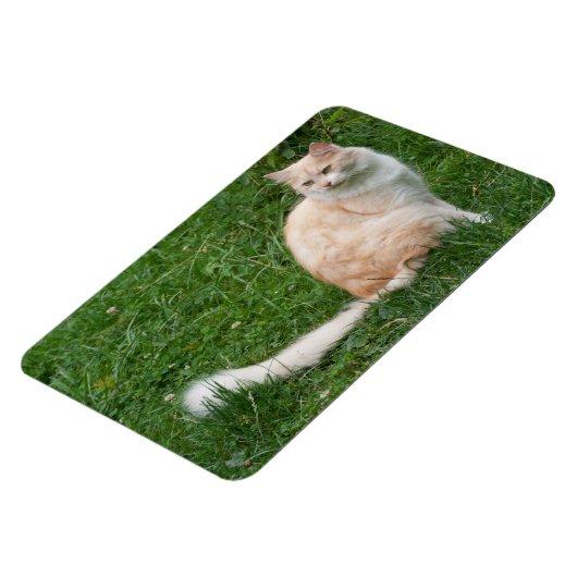 Magnet Flexible Beauté rouge clair (Côté Gauche)