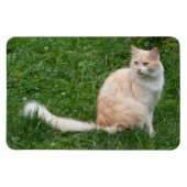 Magnet Flexible Beauté rouge clair (Horizontal)