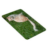 Magnet Flexible Beauté rouge clair (Côté Droit)