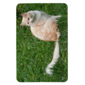 Magnet Flexible Beauté rouge clair (Vertical)